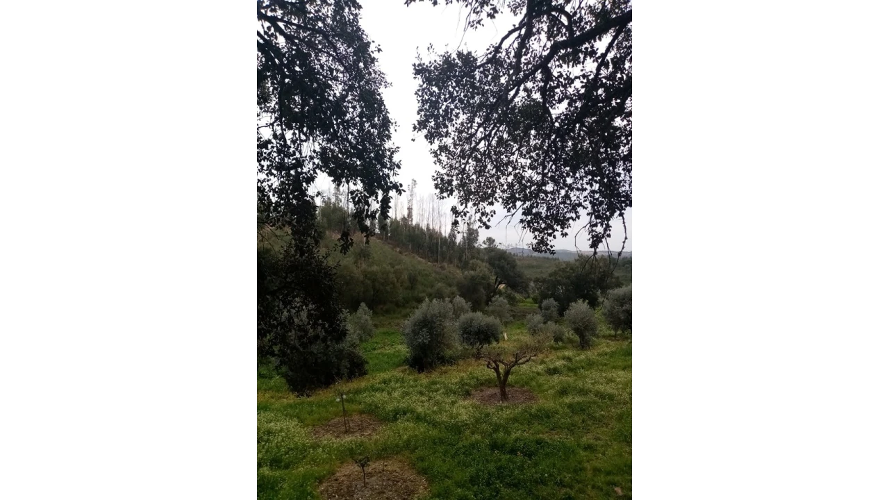 Quinta para Venda em Mação, Penhascoso e Aboboreira Foto 67