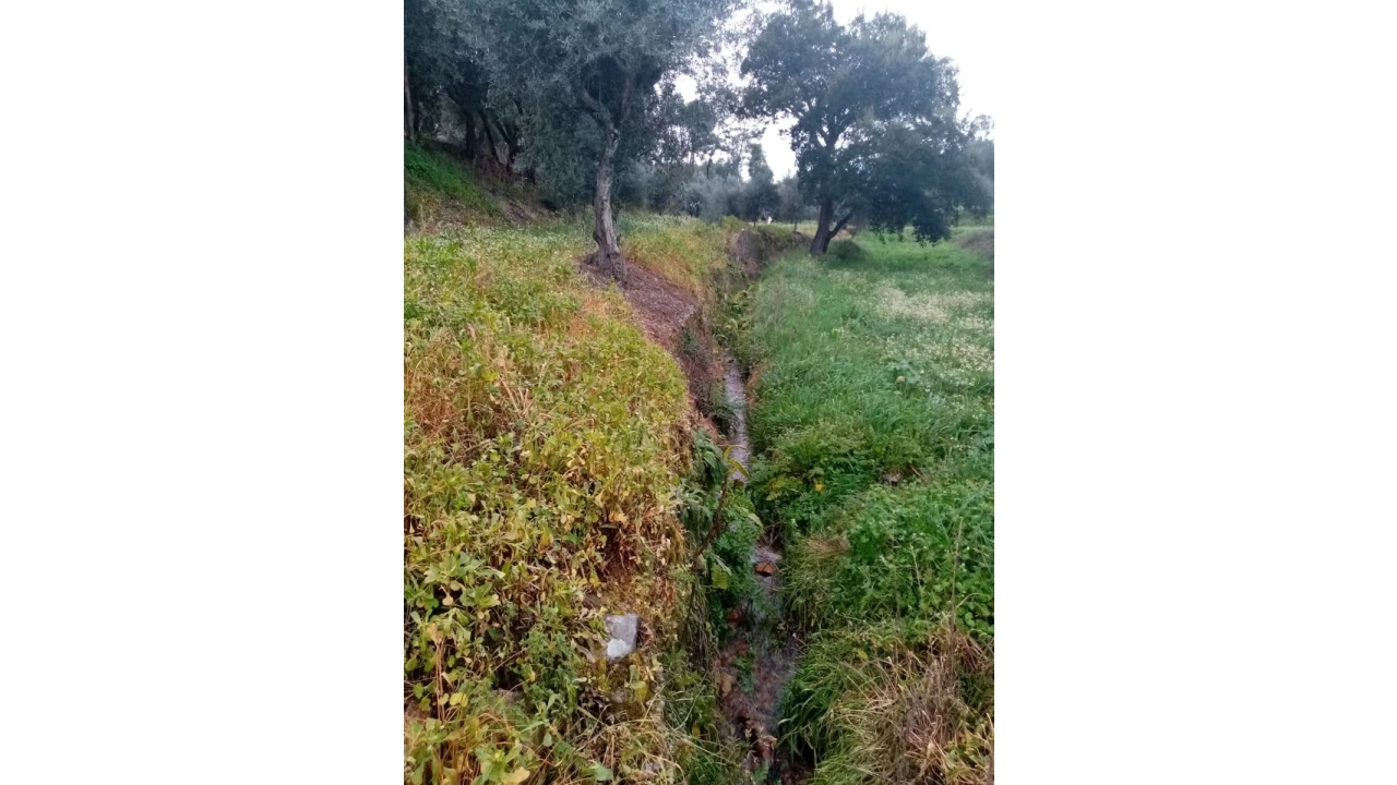 Quinta para Venda em Mação, Penhascoso e Aboboreira Foto 74