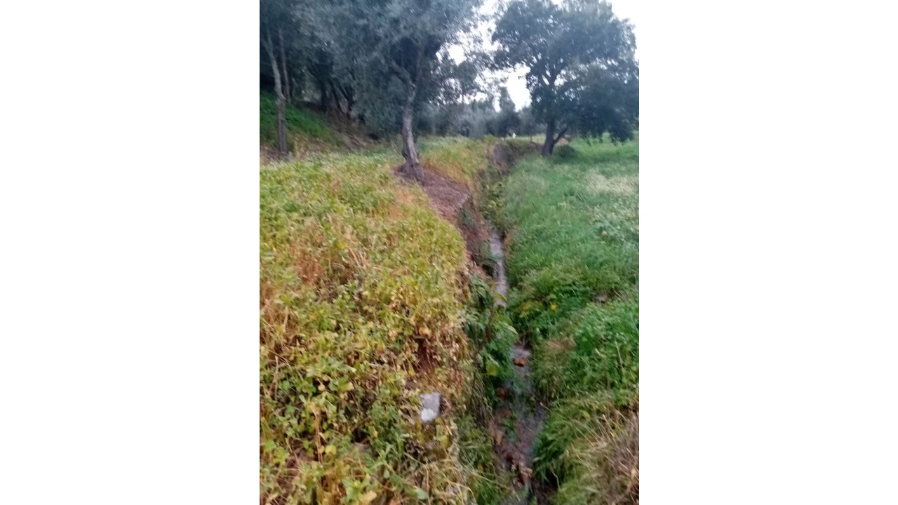 Quinta para Venda em Mação, Penhascoso e Aboboreira Foto 75