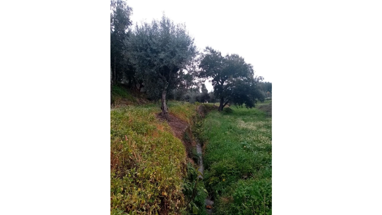 Quinta para Venda em Mação, Penhascoso e Aboboreira Foto 76