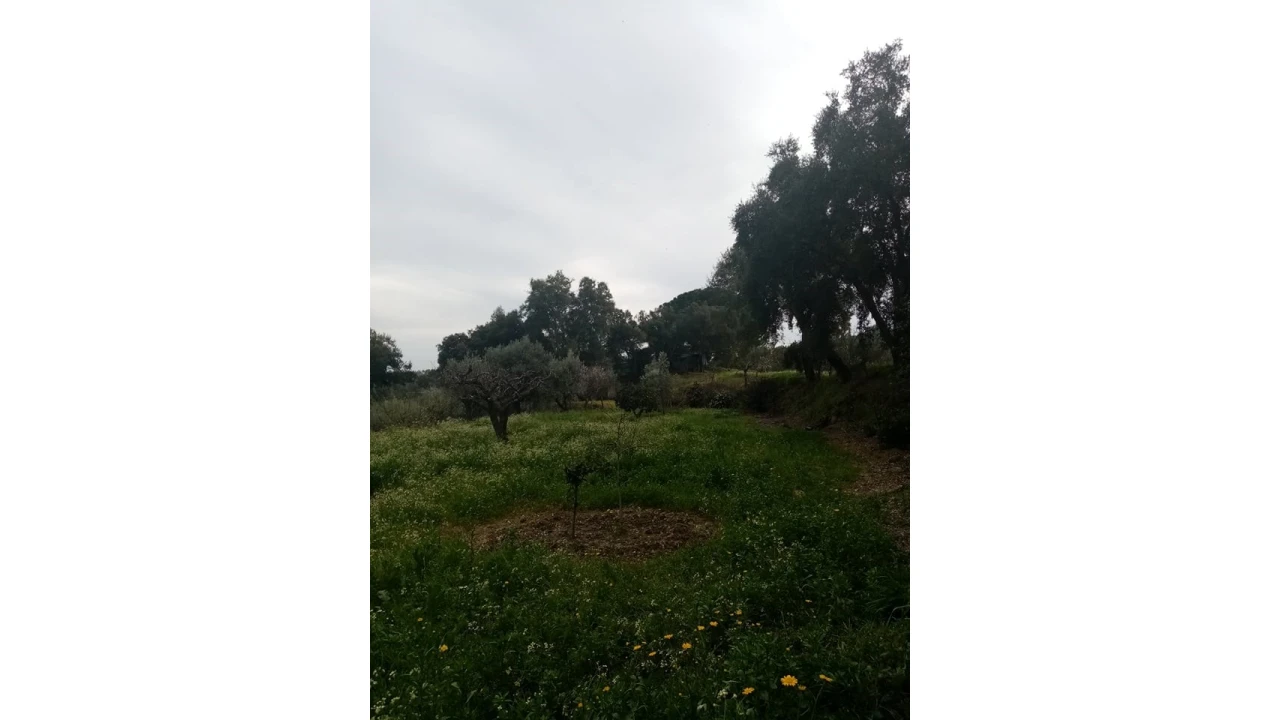 Quinta para Venda em Mação, Penhascoso e Aboboreira Foto 77
