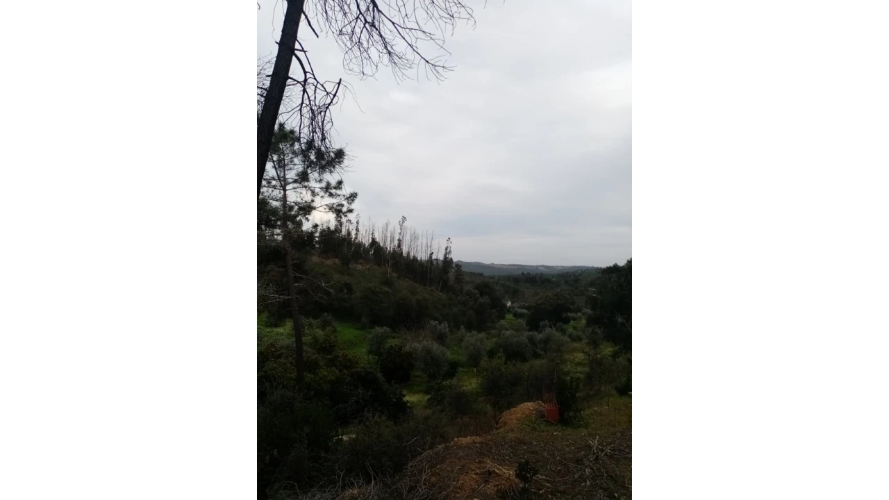 Quinta para Venda em Mação, Penhascoso e Aboboreira Foto 79