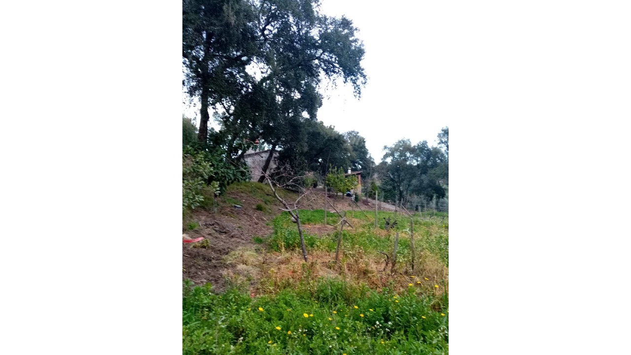 Quinta para Venda em Mação, Penhascoso e Aboboreira Foto 92