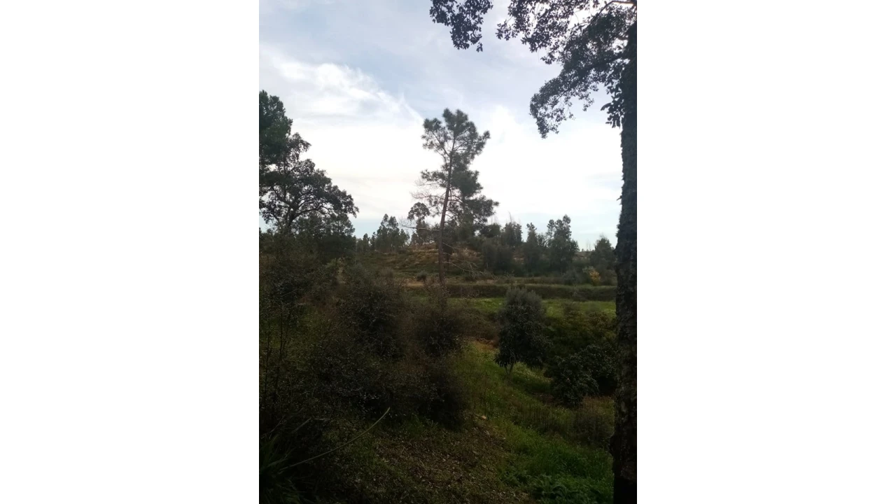 Quinta para Venda em Mação, Penhascoso e Aboboreira Foto 102