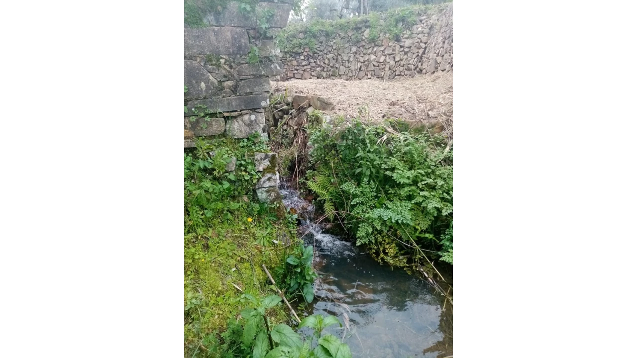 Quinta para Venda em Mação, Penhascoso e Aboboreira Foto 106