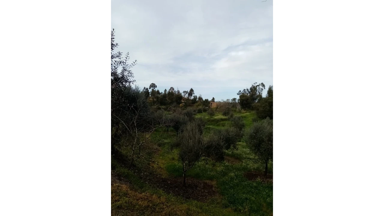 Quinta para Venda em Mação, Penhascoso e Aboboreira Foto 111