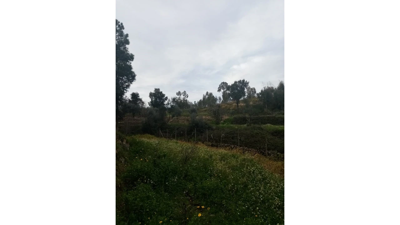 Quinta para Venda em Mação, Penhascoso e Aboboreira Foto 114