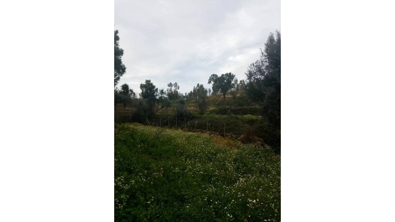 Quinta para Venda em Mação, Penhascoso e Aboboreira Foto 116