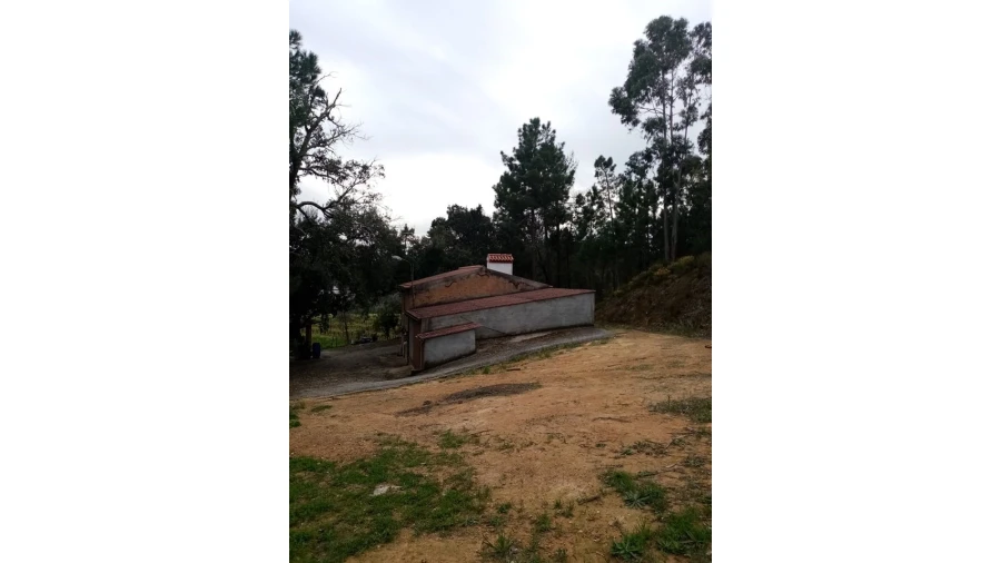 Quinta para Venda em Mação, Penhascoso e Aboboreira Foto 4