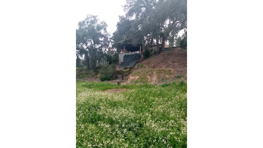 Quinta para Venda em Mação, Penhascoso e Aboboreira Foto 5