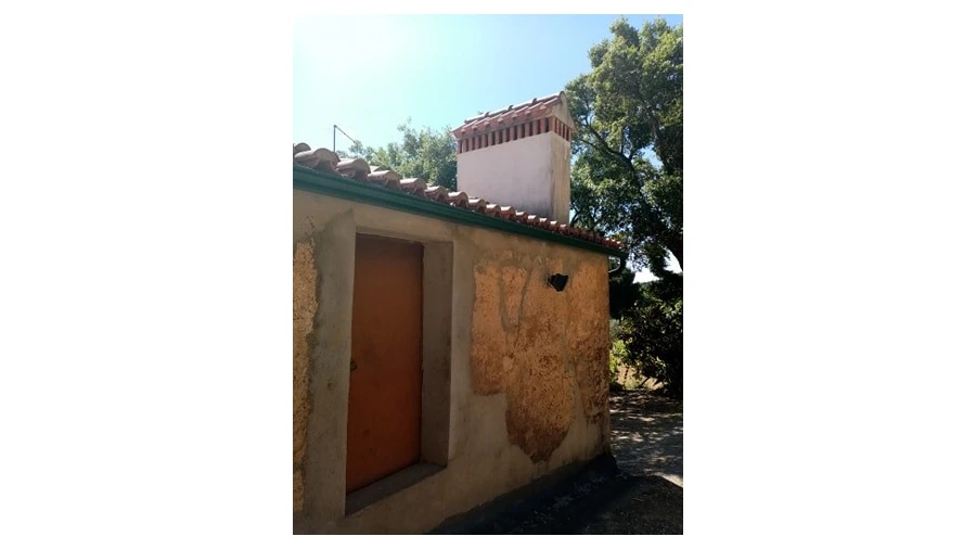 Quinta para Venda em Mação, Penhascoso e Aboboreira Foto 6