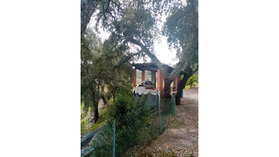 Quinta para Venda em Mação, Penhascoso e Aboboreira Foto 16