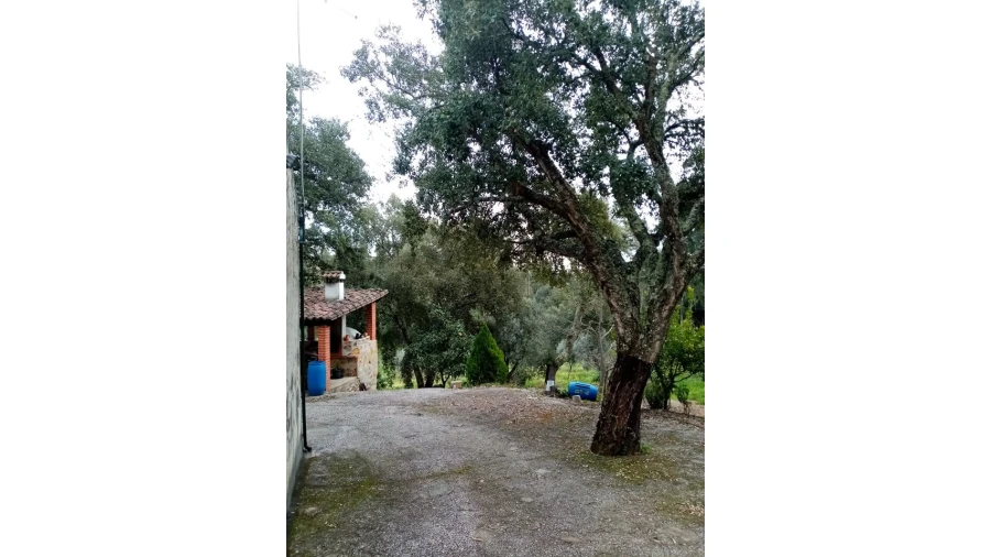 Quinta para Venda em Mação, Penhascoso e Aboboreira Foto 18