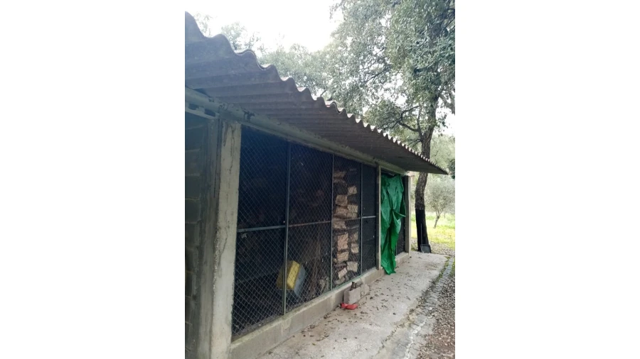 Quinta para Venda em Mação, Penhascoso e Aboboreira Foto 34