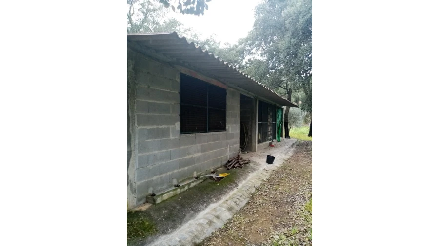 Quinta para Venda em Mação, Penhascoso e Aboboreira Foto 35