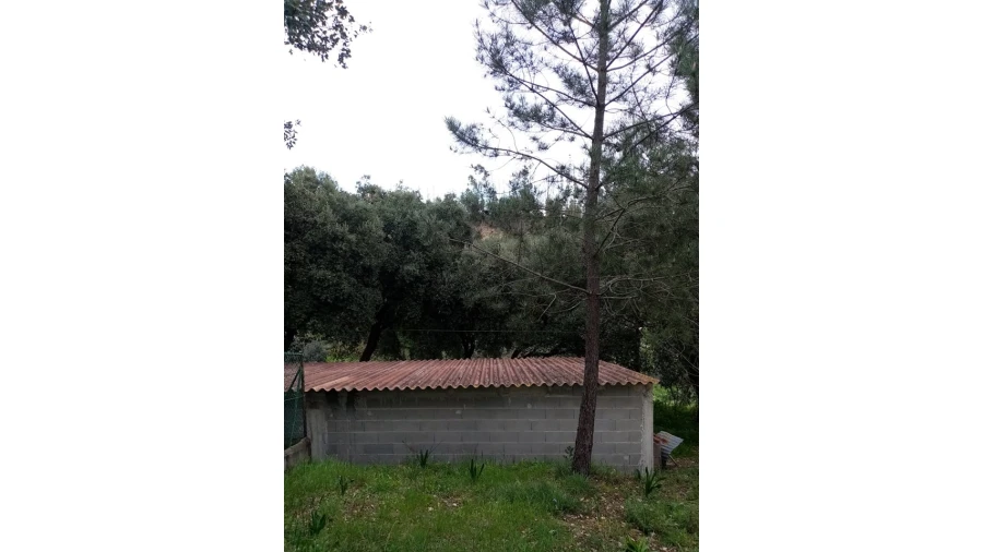 Quinta para Venda em Mação, Penhascoso e Aboboreira Foto 37