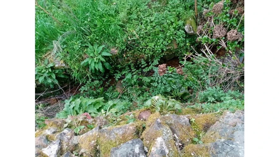 Quinta para Venda em Mação, Penhascoso e Aboboreira Foto 42