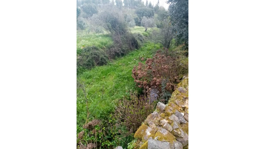 Quinta para Venda em Mação, Penhascoso e Aboboreira Foto 43