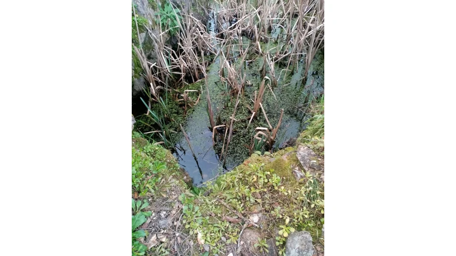 Quinta para Venda em Mação, Penhascoso e Aboboreira Foto 45