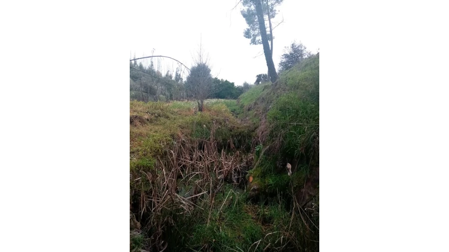 Quinta para Venda em Mação, Penhascoso e Aboboreira Foto 46