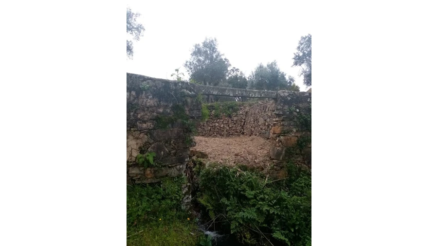 Quinta para Venda em Mação, Penhascoso e Aboboreira Foto 47