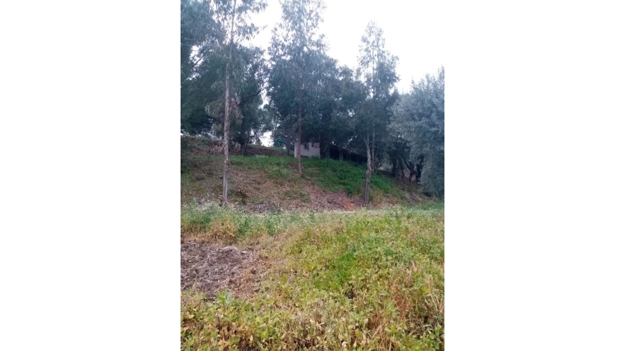 Quinta para Venda em Mação, Penhascoso e Aboboreira Foto 70