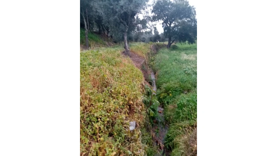 Quinta para Venda em Mação, Penhascoso e Aboboreira Foto 75