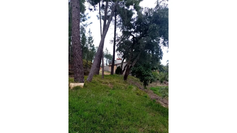 Quinta para Venda em Mação, Penhascoso e Aboboreira Foto 91