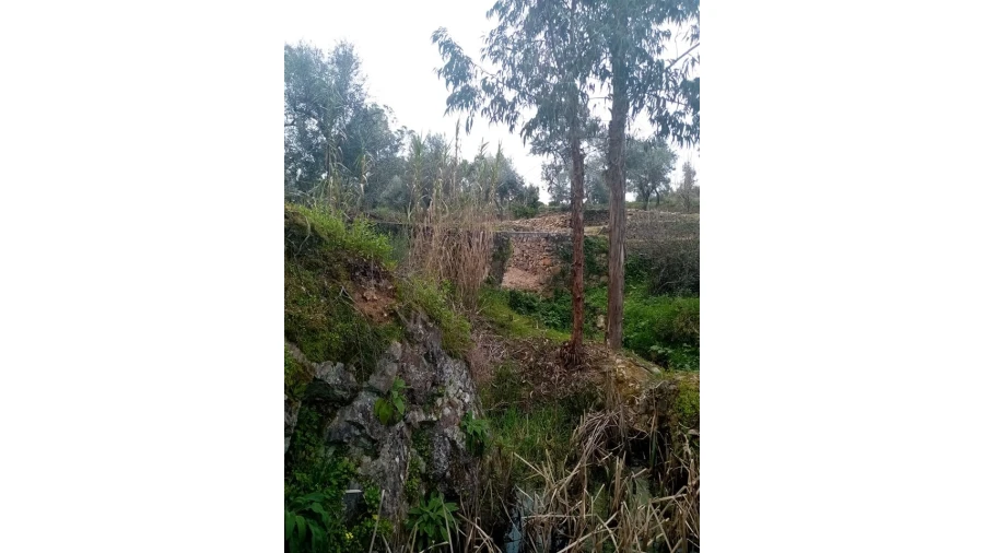 Quinta para Venda em Mação, Penhascoso e Aboboreira Foto 101