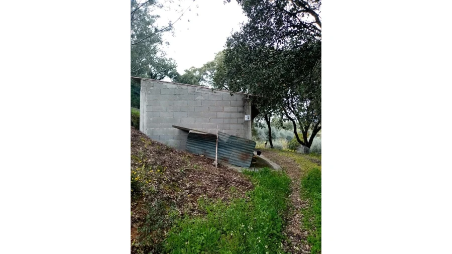 Quinta para Venda em Mação, Penhascoso e Aboboreira Foto 107