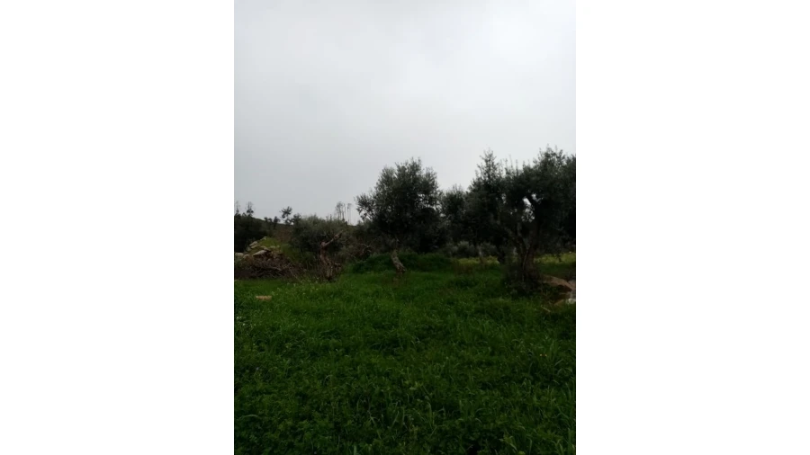 Quinta para Venda em Mação, Penhascoso e Aboboreira Foto 109