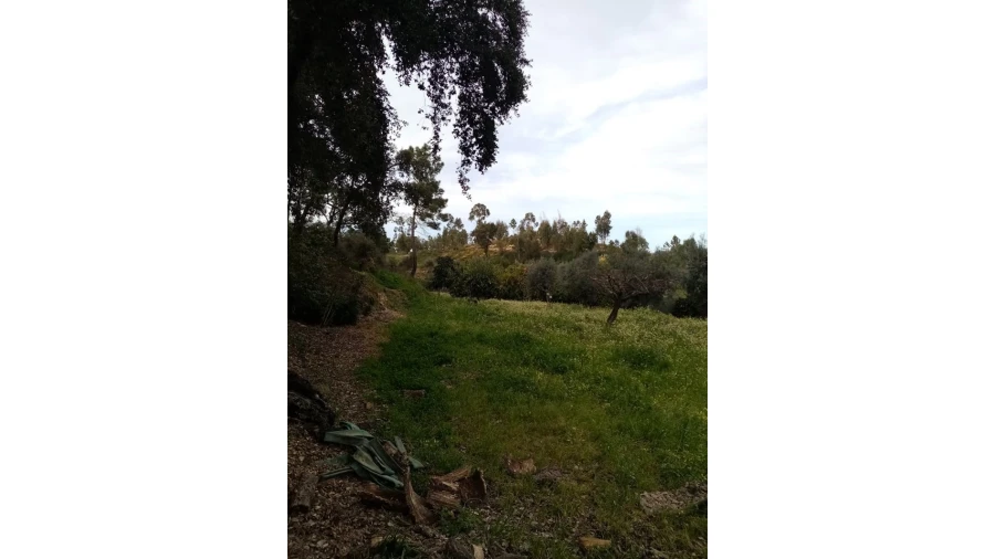 Quinta para Venda em Mação, Penhascoso e Aboboreira Foto 115