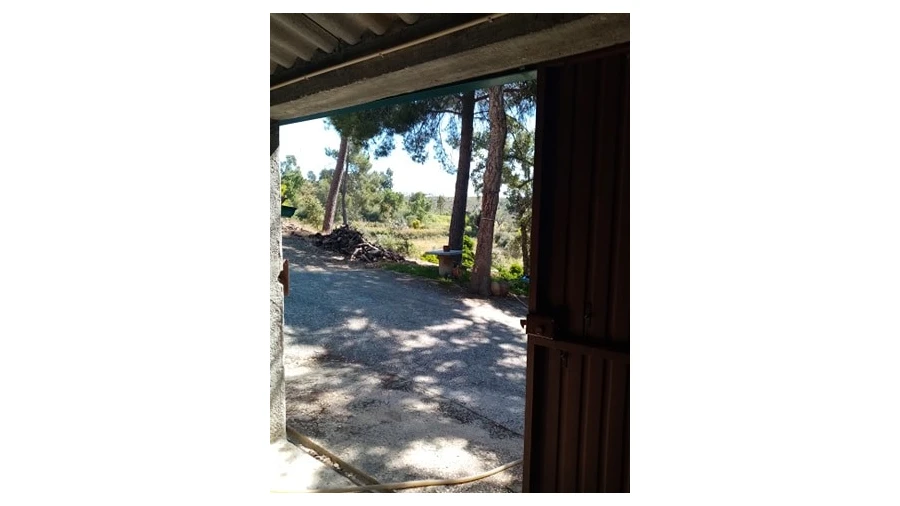 Quinta para Venda em Mação, Penhascoso e Aboboreira Foto 123