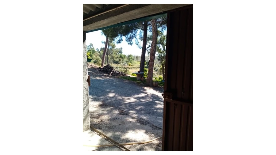 Quinta para Venda em Mação, Penhascoso e Aboboreira Foto 126