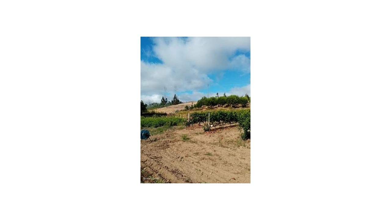 Quinta para Venda em Mação, Penhascoso e Aboboreira Foto 15