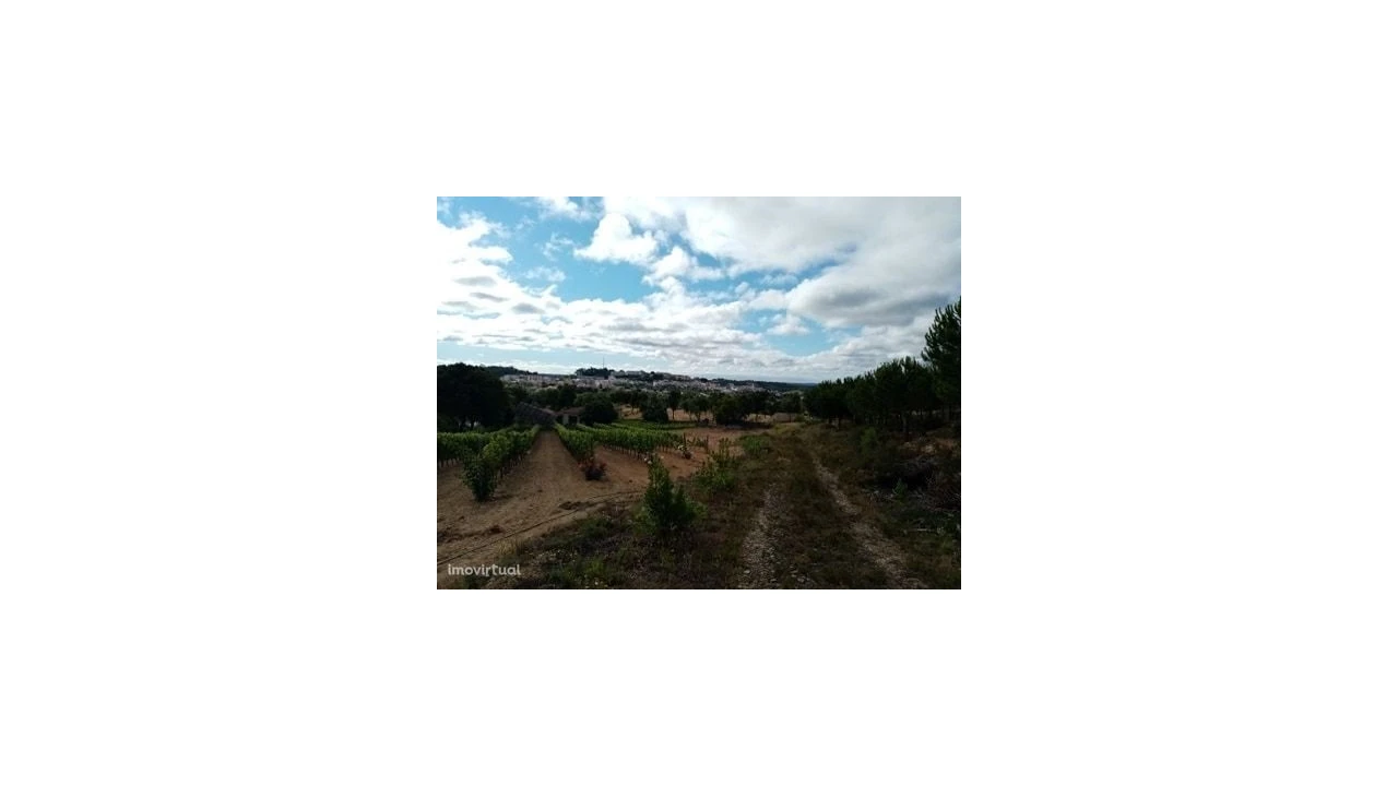 Quinta para Venda em Mação, Penhascoso e Aboboreira Foto 20