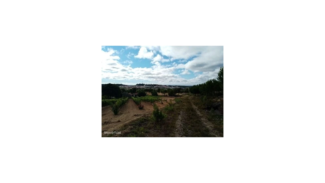 Quinta para Venda em Mação, Penhascoso e Aboboreira Foto 21