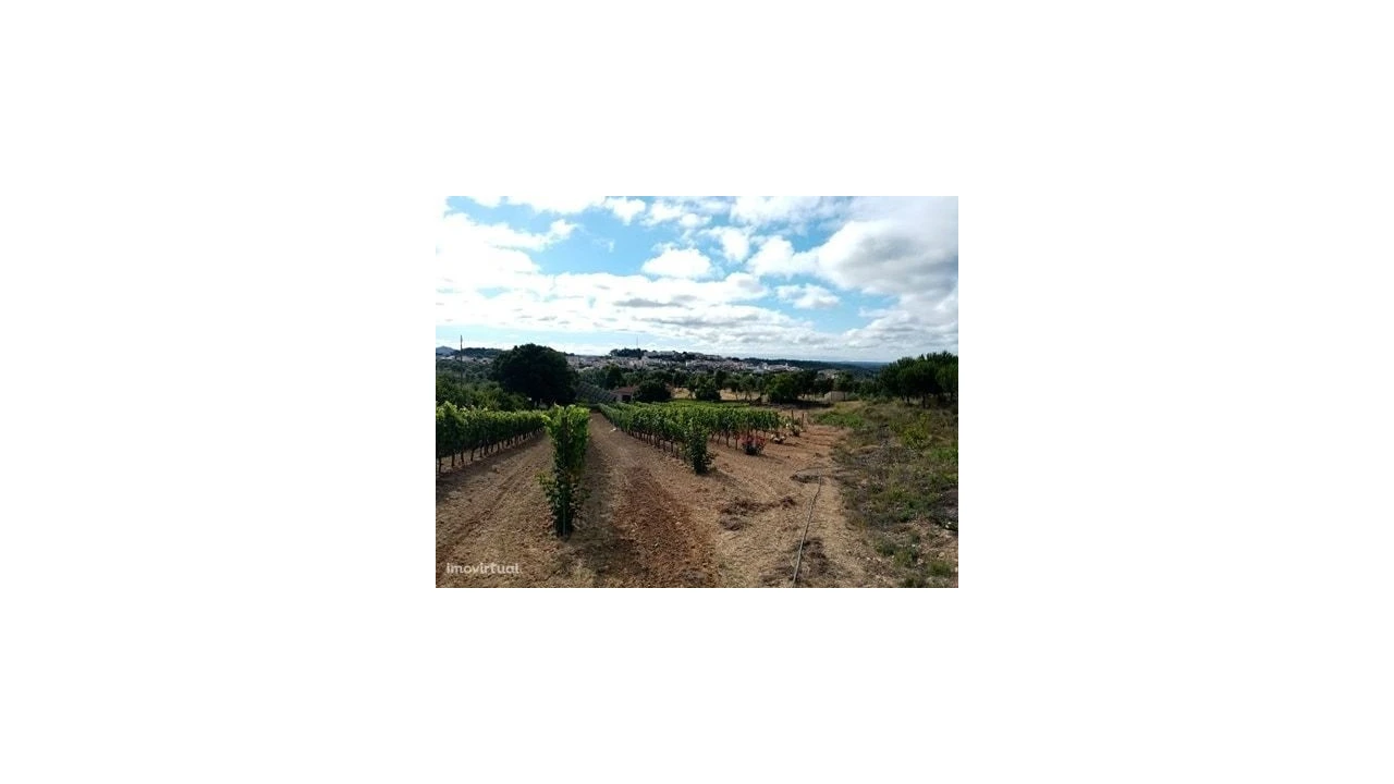 Quinta para Venda em Mação, Penhascoso e Aboboreira Foto 23