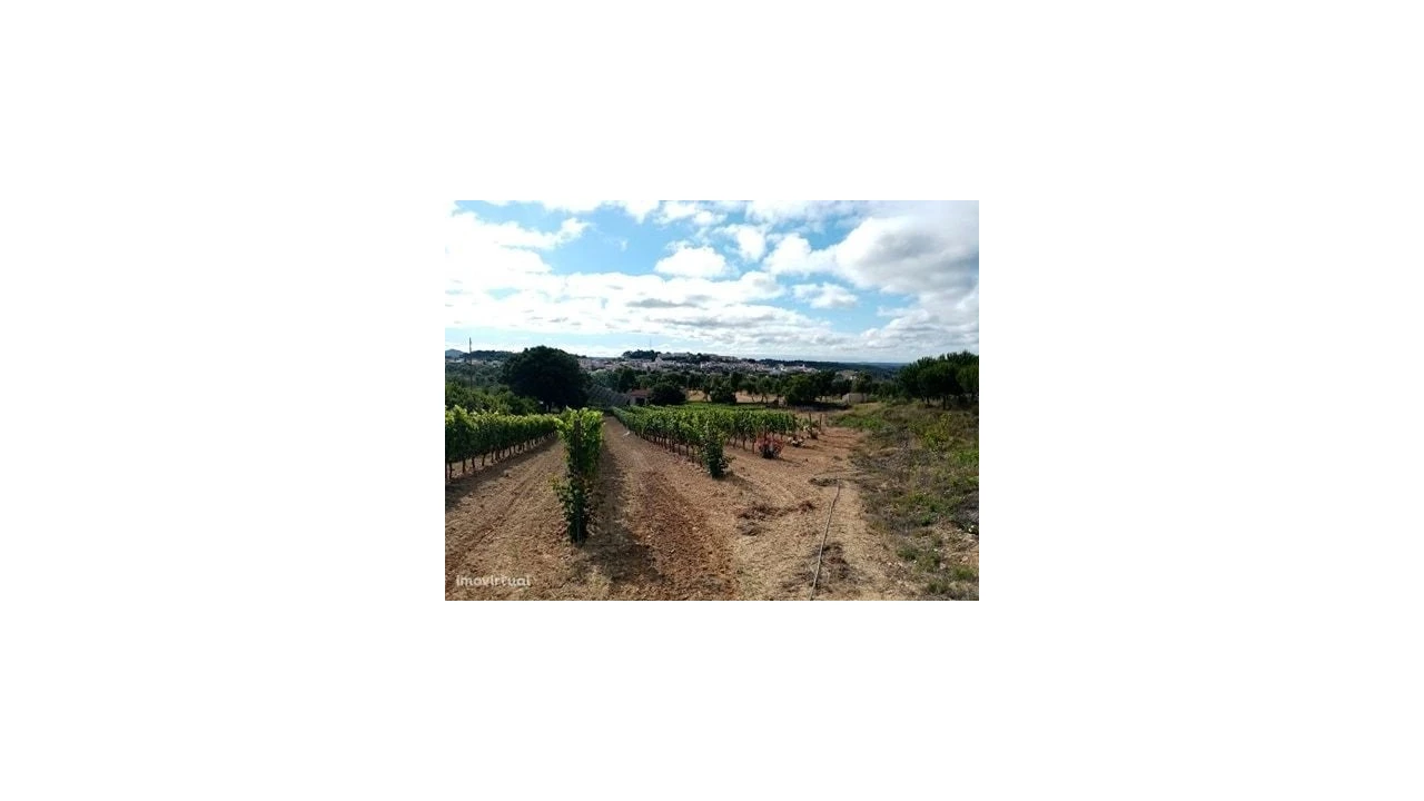 Quinta para Venda em Mação, Penhascoso e Aboboreira Foto 24