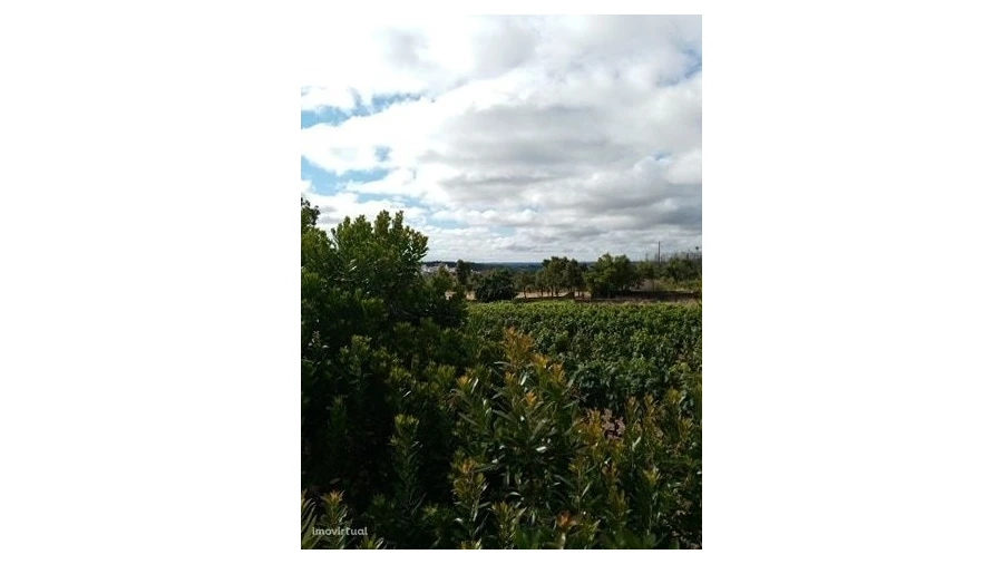 Quinta para Venda em Mação, Penhascoso e Aboboreira Foto 8