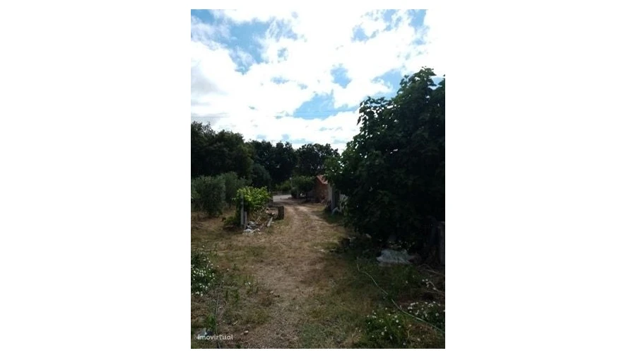 Quinta para Venda em Mação, Penhascoso e Aboboreira Foto 11