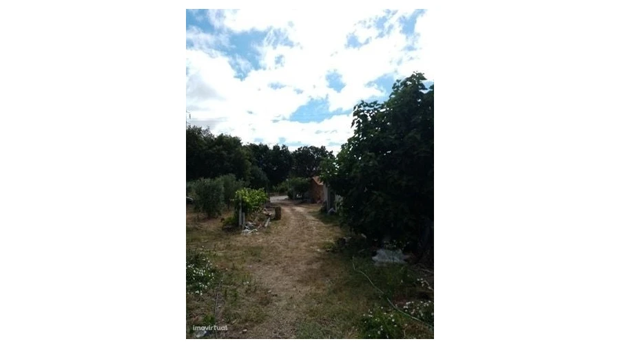 Quinta para Venda em Mação, Penhascoso e Aboboreira Foto 12