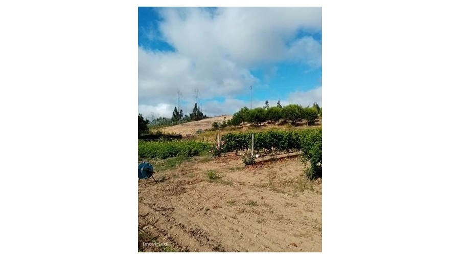 Quinta para Venda em Mação, Penhascoso e Aboboreira Foto 15