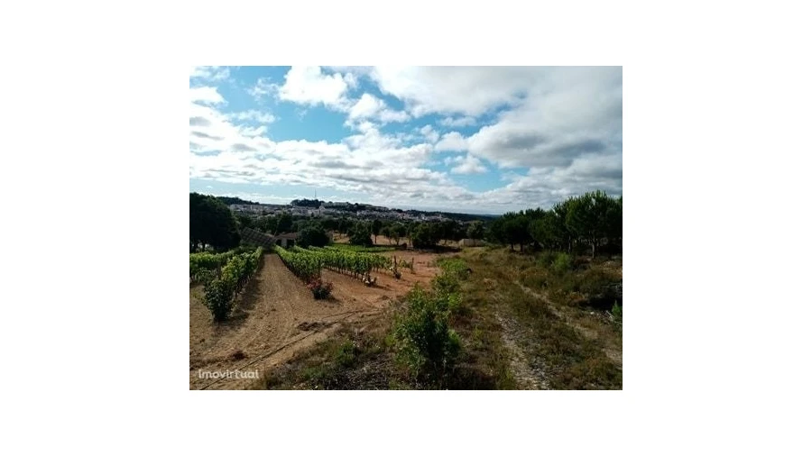 Quinta para Venda em Mação, Penhascoso e Aboboreira Foto 19