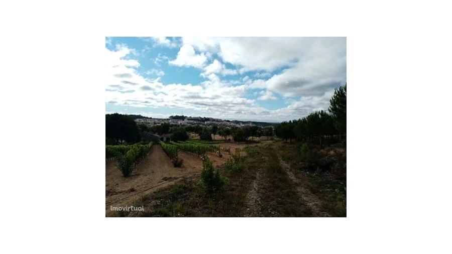 Quinta para Venda em Mação, Penhascoso e Aboboreira Foto 20