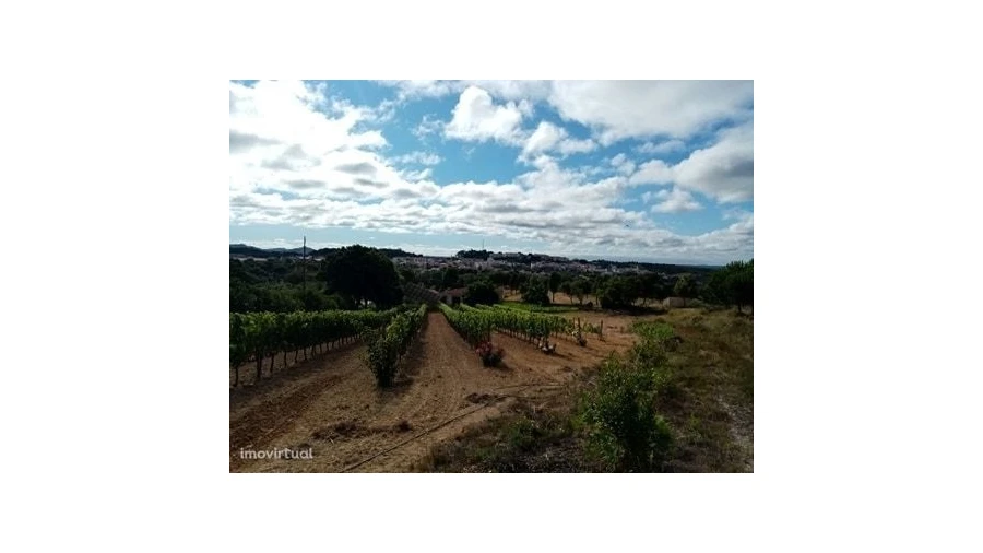 Quinta para Venda em Mação, Penhascoso e Aboboreira Foto 22