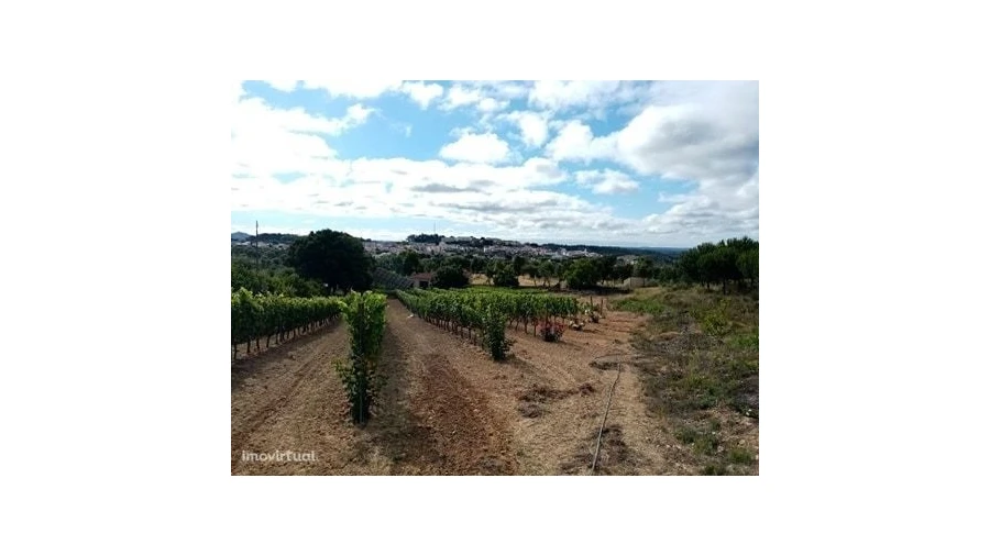 Quinta para Venda em Mação, Penhascoso e Aboboreira Foto 23