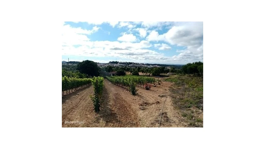 Quinta para Venda em Mação, Penhascoso e Aboboreira Foto 24