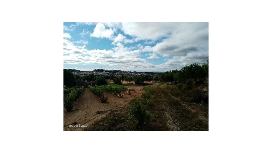 Quinta para Venda em Mação, Penhascoso e Aboboreira Foto 25