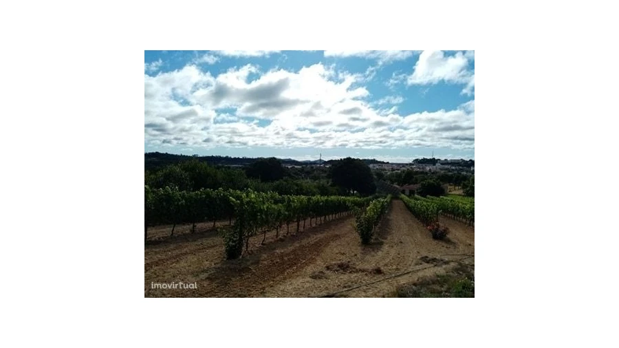 Quinta para Venda em Mação, Penhascoso e Aboboreira Foto 26